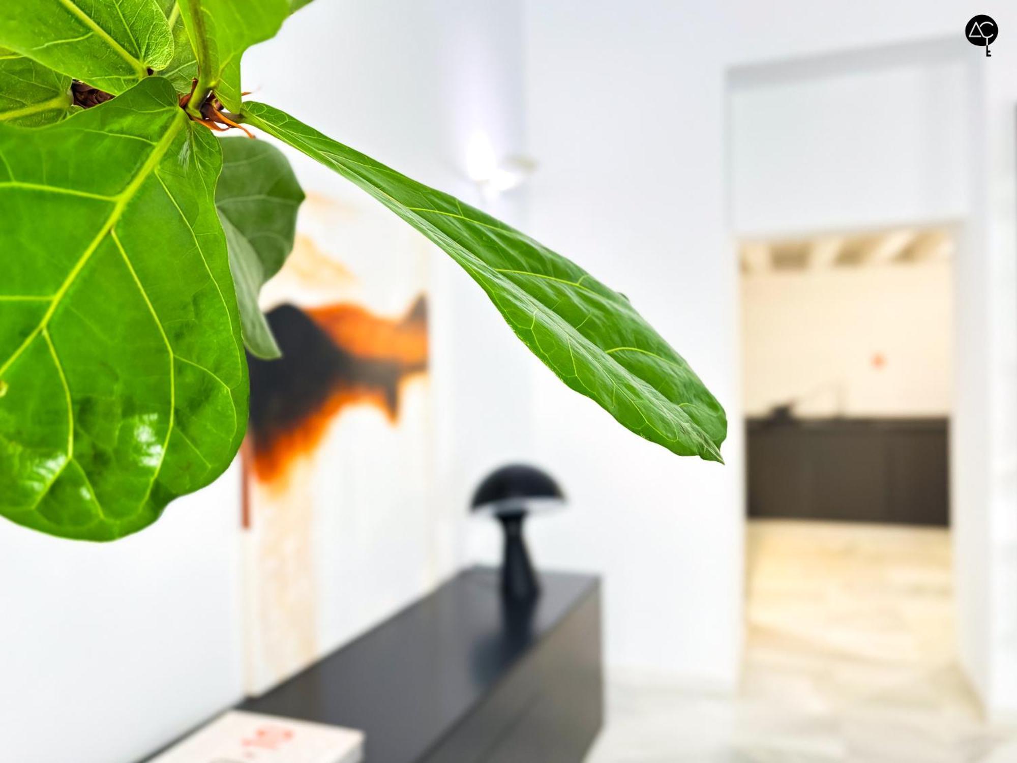 Casa Columela Cadiz Grupo Ac Gestion公寓 外观 照片